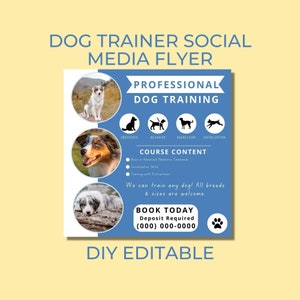 Modelo de folheto de treinamento de cães, folheto de treinador de cães, anúncio de treinamento profissional de cães, folheto de mídia social, programa de treinamento K9, folheto K9