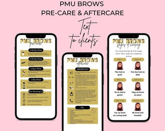 PMU Brows Pre-Care & Aftercare Template, Editable DIY (Digital Download)