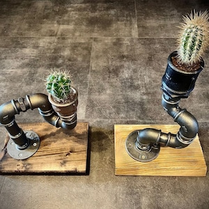 Könnte beinhalten: Zwei schwarze Metall-Pflanzenhalter mit Holzsockeln. Jeder Halter zeigt eine andere Kaktuspflanze. Der Halter links hat eine grüne Kaktuspflanze in einem kleinen braunen Topf. Der Halter rechts hat eine hohe, stachelige Kaktuspflanze in einem schwarzen Topf.