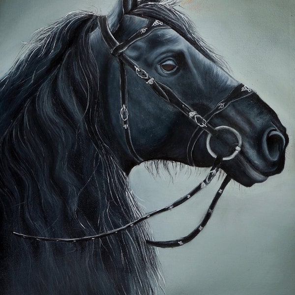 Horse Eyes Photo - Etsy