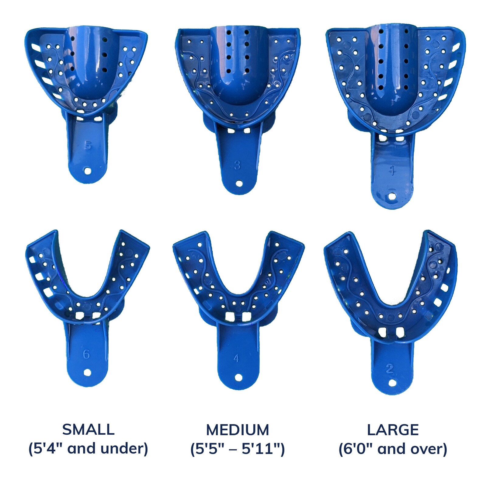 Dental Impression Kit UK Make Your Own At Home Mould and Etsy