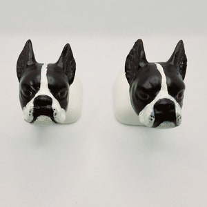 Boston Terrier License Plate Screws