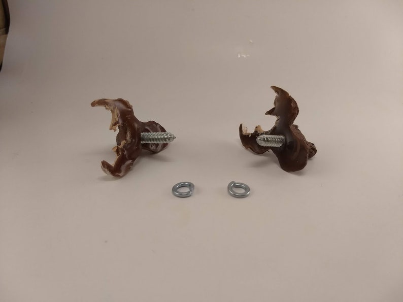 Op de afbeelding: Twee bruine plastic wandhaken met een schroef aan elk. Twee zilveren metalen ringen zijn ook inbegrepen.