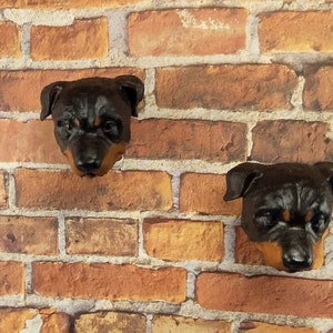 Rottweiler License Plate Screws