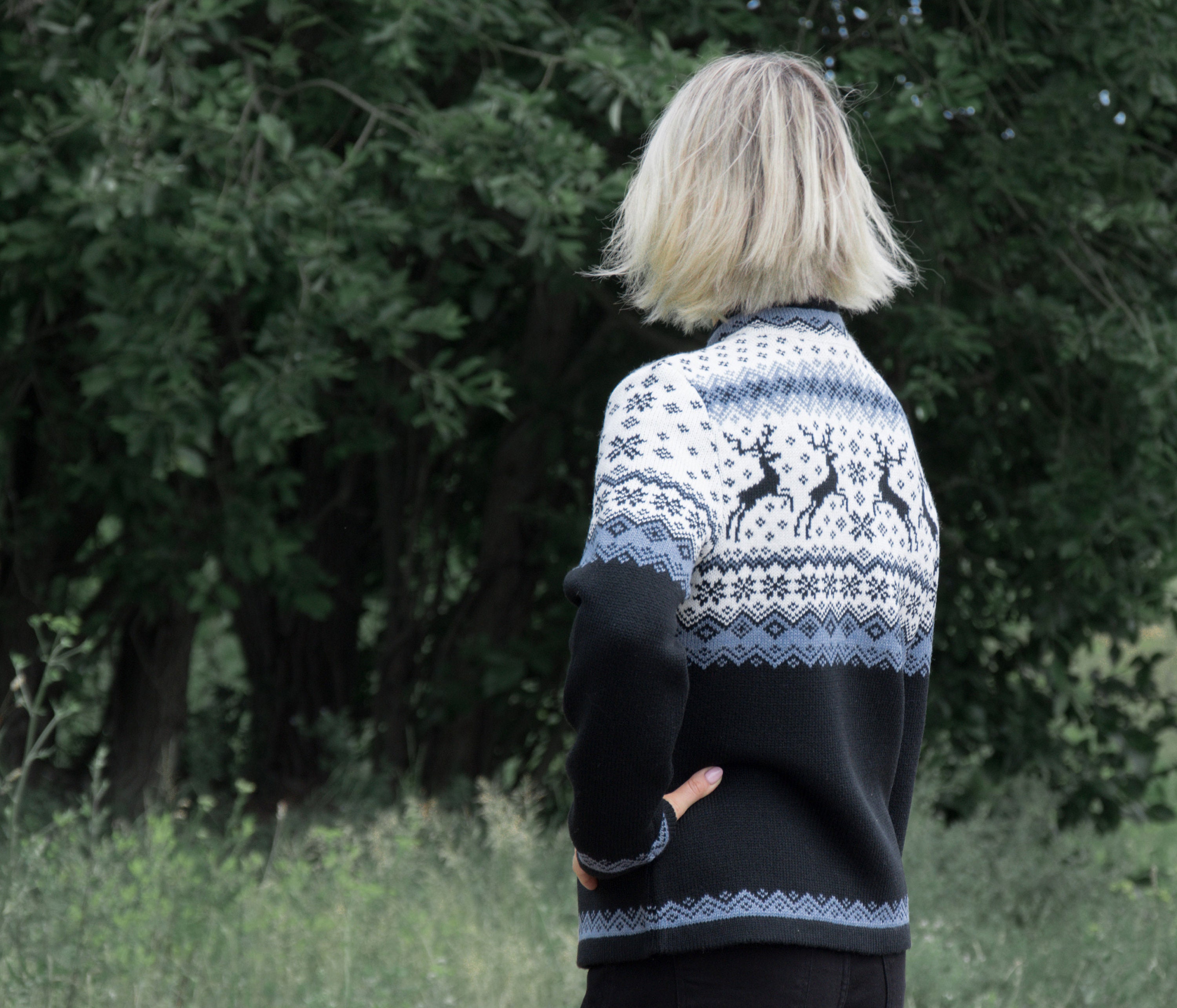 Line Noa Fair-Isle Crewneck Cardigan- Mountain Slopes