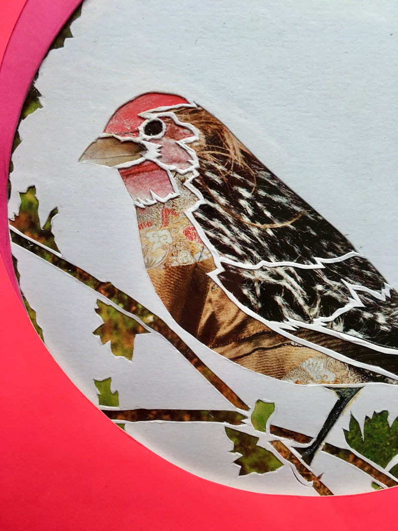 Paper cut bird with neon card and collage image 3