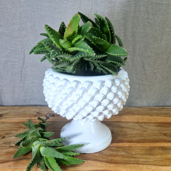 Half Pine Cone H.26 L.26 cm Sicilian Ceramic Caltagirone Artisan made entirely by hand, vase holder, caspò, vase, pine cone, centerpiece