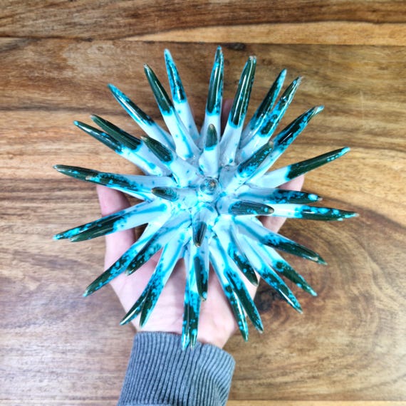 Sea urchin 20 cm Sicilian handmade ceramic multicolor, sea urchin spines, ring holder, table decoration, home design, pencil sea urchin