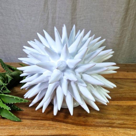 Sea urchin 28 cm of Sicilian handcrafted ceramic, sea urchin spines, ring holder, table decoration, home design, pencil sea urchin