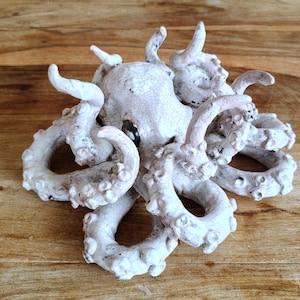 May include: A detailed, off-white ceramic octopus sculpture with textured tentacles and a cracked glaze finish. The sculpture has dark eye sockets and is set against a wooden background, showcasing its intricate design.