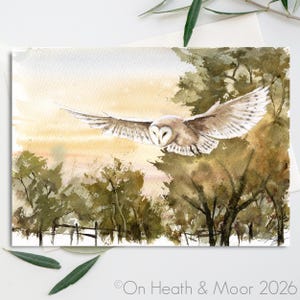 May include: A watercolor painting of a barn owl in flight with wings fully extended. The owl has white and brown feathers. The background features a soft yellow and orange sunset sky above dark green trees and a fence line in the distance.