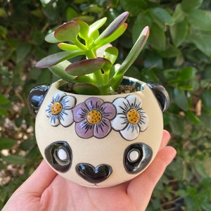 May include: A small ceramic panda planter with a black nose and eyes, white accents, and a floral headband with purple, white, and yellow flowers. A green succulent plant is growing in the planter.