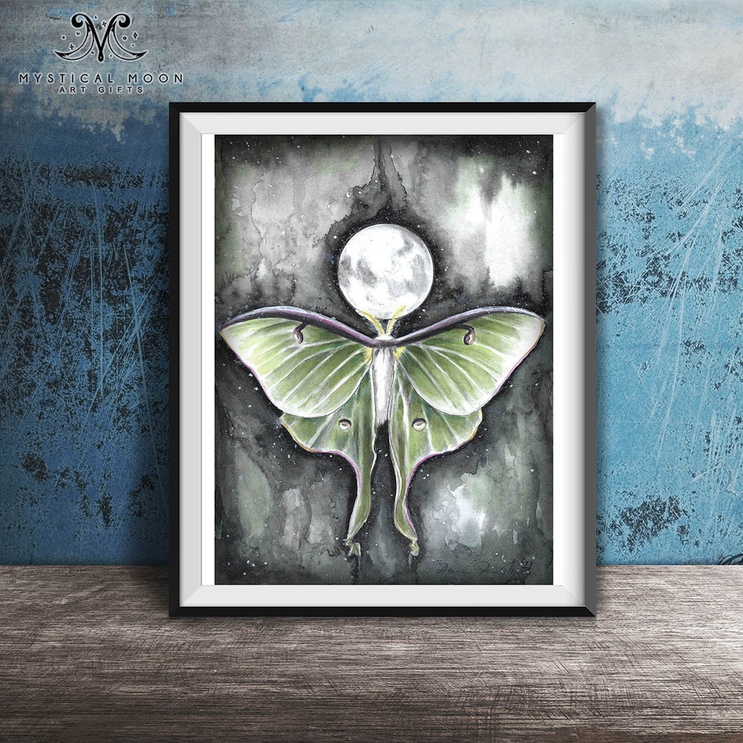 Luna Moth Art Print / Moonphase Moths / Deanna Davoli / Insects ...