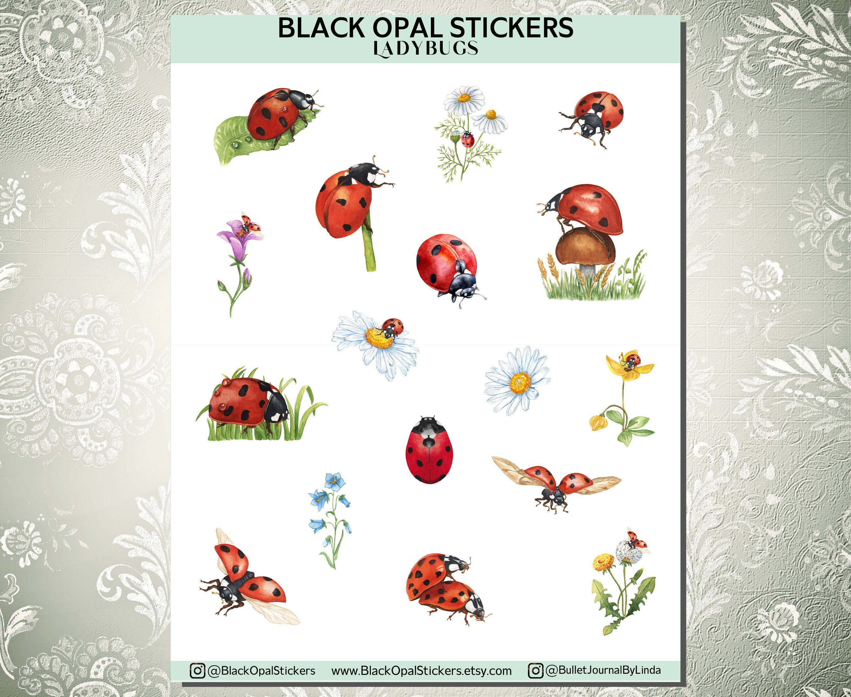 Printable Ladybug Thank You Stickers Lady Bug Packaging 