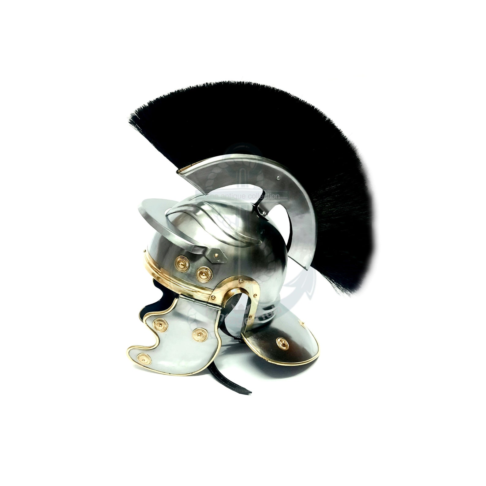 skull in roman centurion helmet skull in roman centurion helmet