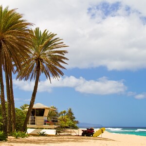 Life Guard Tower North Shore, Hawaii