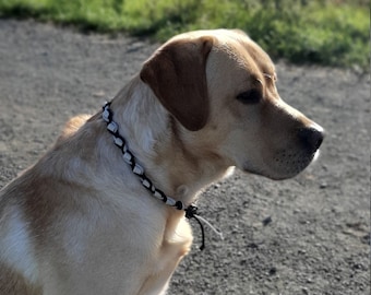 Tick collar