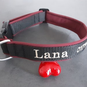 May include: A burgundy and black dog collar with a silver D-ring and the name "Lana" embroidered in white thread.