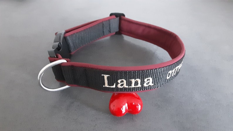 Dog collar with name or phone number image 6