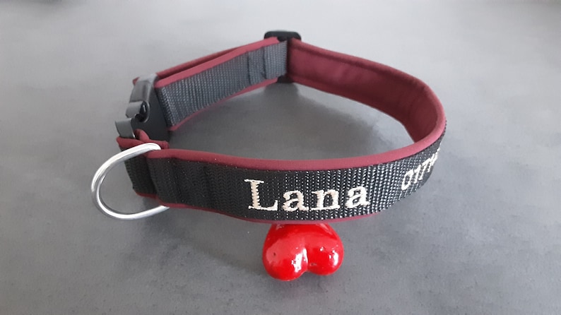 May include: A burgundy and black dog collar with a silver D-ring and the name "Lana" embroidered in white thread.