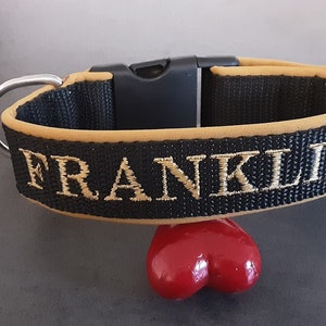 May include: Black and tan dog collar with the name "FRANKLIN" embroidered in gold thread.