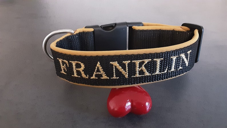 May include: Black and tan dog collar with the name "FRANKLIN" embroidered in gold thread.