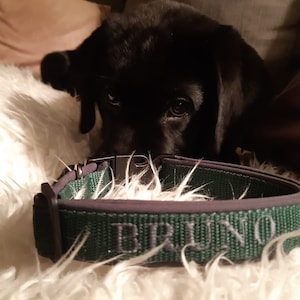 Dog collar with name or phone number image 1