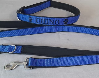 dog leash