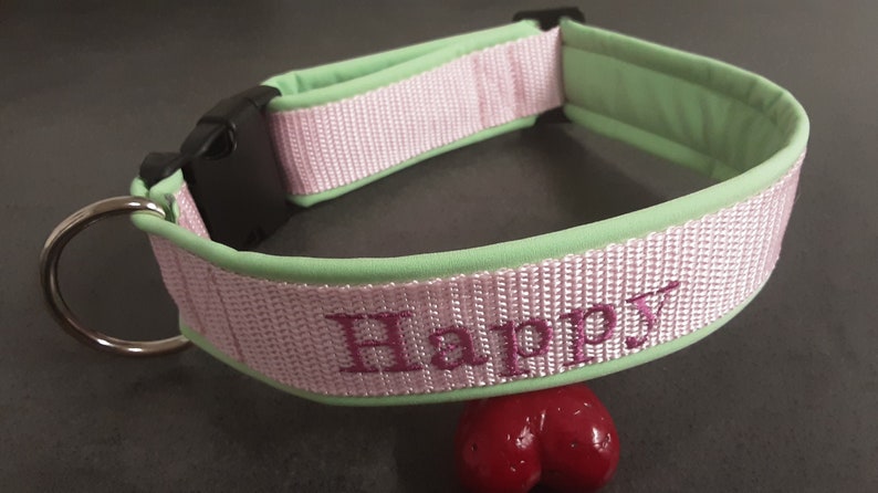 May include: A pink and green dog collar with the word "Happy" embroidered in pink.