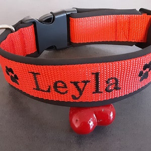 May include: Red dog collar with black paw prints and the name "Leyla" embroidered on it.