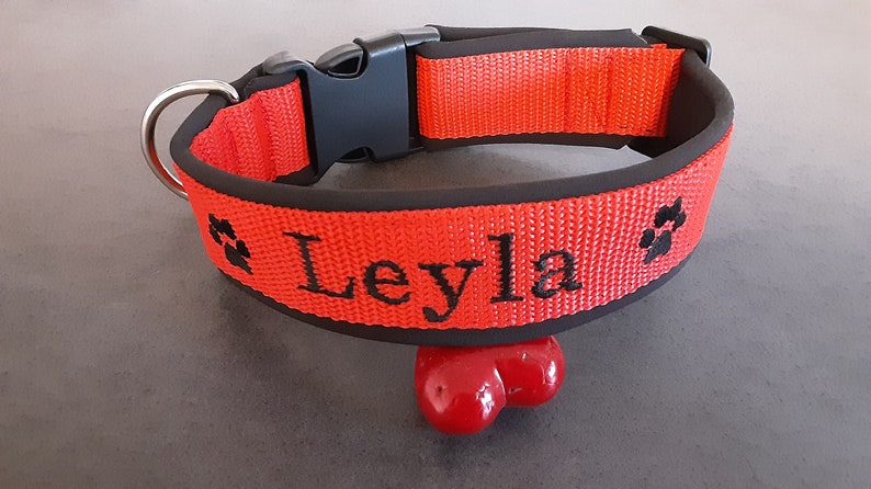 May include: Red dog collar with black paw prints and the name "Leyla" embroidered on it.
