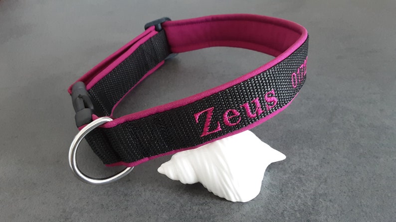May include: Black dog collar with a pink trim and the name "Zeus" embroidered in pink.