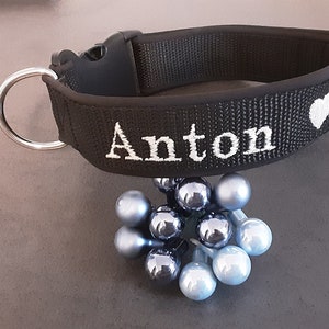 May include: Black dog collar with white embroidery that says "Anton" and a white heart.