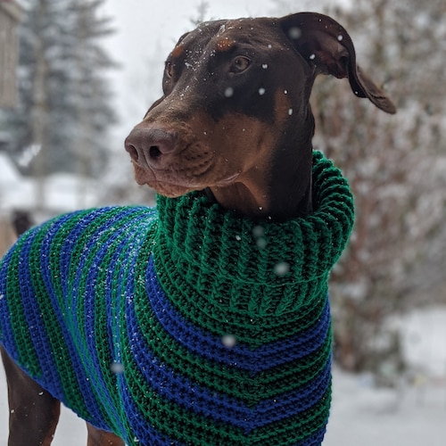 Tunisian Crochet Dog Sweater Pattern Jovi's Jumper Etsy Canada