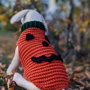Pumpkin Jack O'Lantern Dog Sweater Crochet
