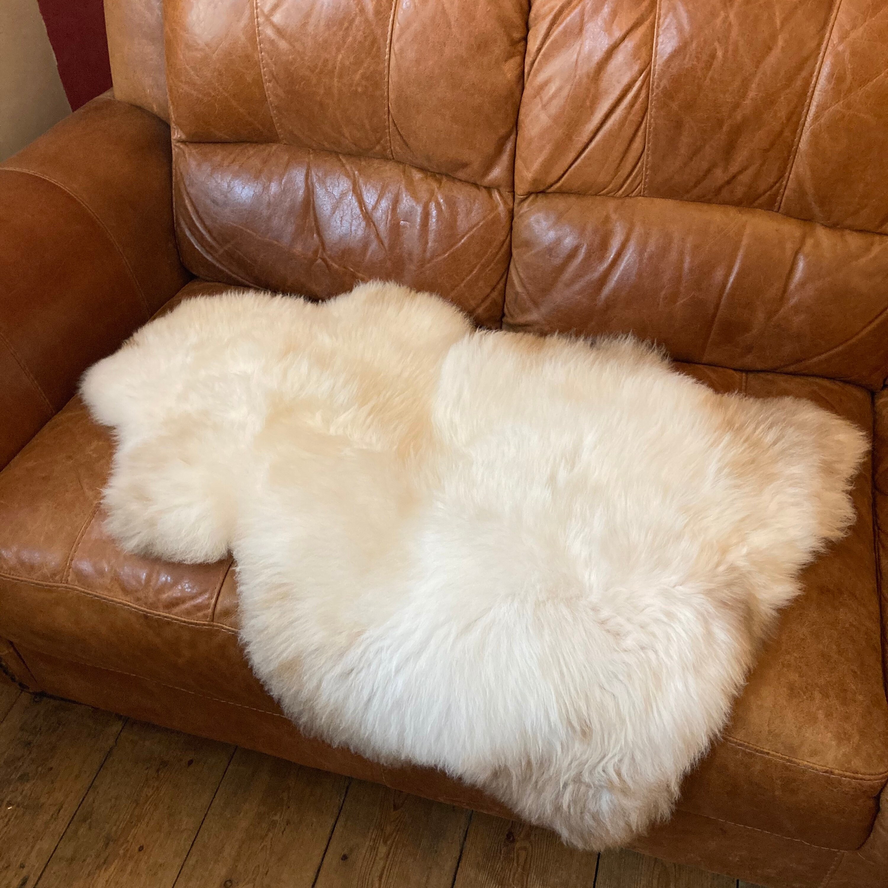 British Rare Breed 100 Sheepskin Rug with Maintenance Brush Etsy
