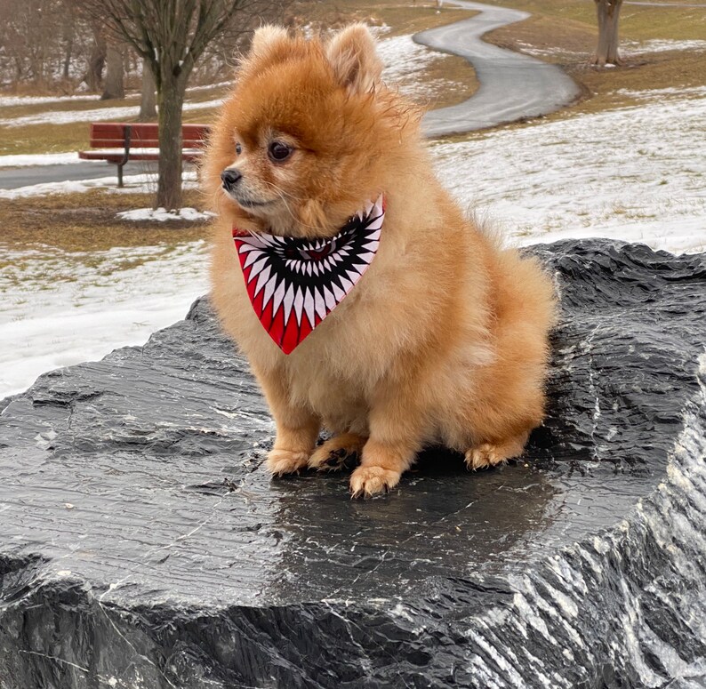 African print Dog Bandana \u2022 Pet Neckwear \u2022 Pet Bandana \u2022 Pet Accessories \u2022 Ankara print Dog Bandana