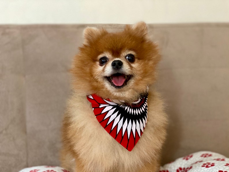 African print Dog Bandana \u2022 Pet Neckwear \u2022 Pet Bandana \u2022 Pet Accessories \u2022 Ankara print Dog Bandana