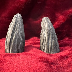 Puede incluir: Dos objetos grises, texturizados, puntiagudos, de aspecto pétreo sobre una superficie de terciopelo rojo.