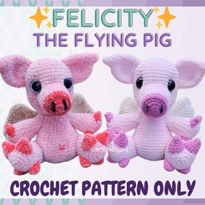Felicity the Flying Pig - Amigurumi Crochet Pattern