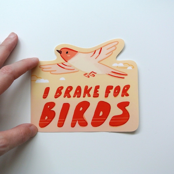 I Brake for Birds Bumper Sticker - Pink - Waterproof Vinyl