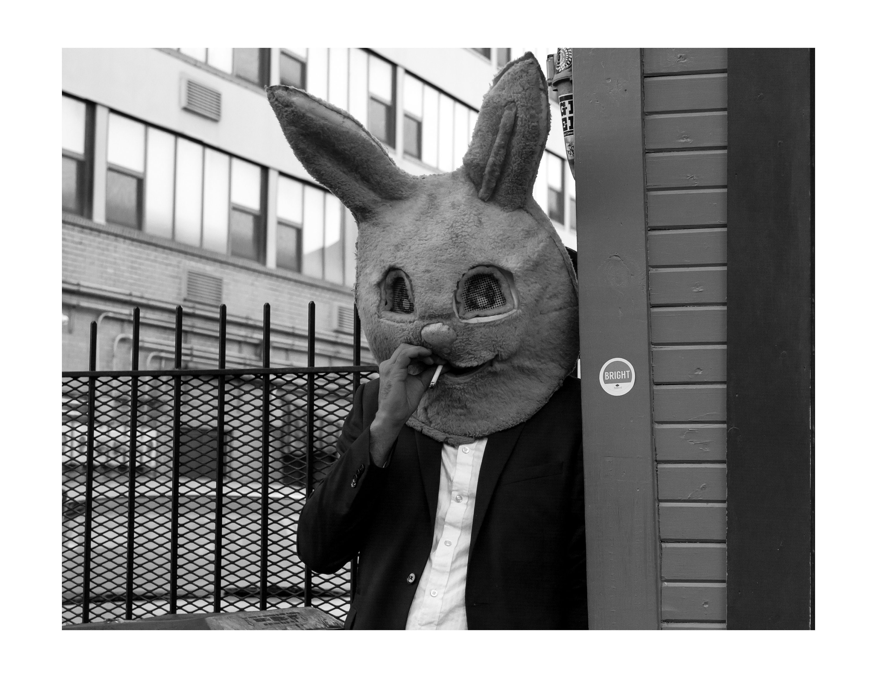 rabbit with cigarette Smoking Bunny
