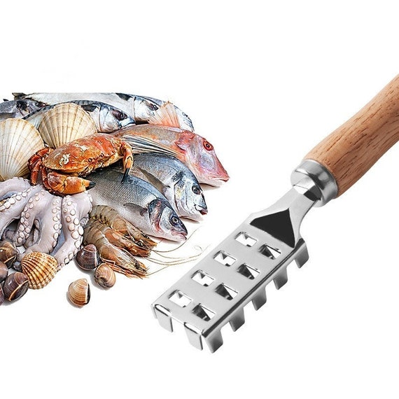 Stainless Steel Multifunctional Wooden Handle Fish Scale Shaving Fish Scale  Scraper Seafood Meat Cleaning Tool 