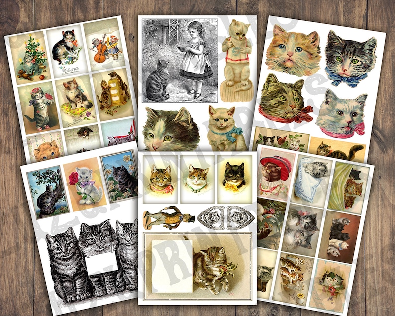 May include: A collection of vintage illustrations featuring cats. The images include cats playing, sleeping, and looking at the viewer. Some of the images are in black and white, while others are in color. The images are all in a vintage style.