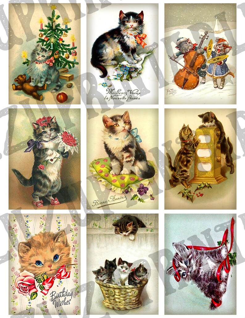 May include: Nine vintage postcards featuring adorable kittens in various poses. Some kittens are wearing bows, holding flowers, or playing musical instruments. The postcards have festive greetings like "Birthday Wishes" and "Bonne Ann&eacute;e".