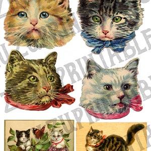 May include: A collection of six vintage illustrations of cats. The images feature cats with different fur patterns and colors, including white, black, brown, and tabby. Some of the cats are wearing ribbons around their necks. The images are in a cartoon style and have a whimsical feel.