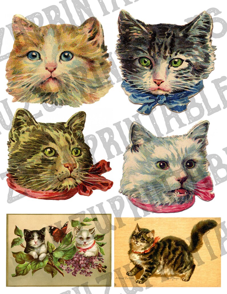 May include: A collection of six vintage illustrations of cats. The images feature cats with different fur patterns and colors, including white, black, brown, and tabby. Some of the cats are wearing ribbons around their necks. The images are in a cartoon style and have a whimsical feel.