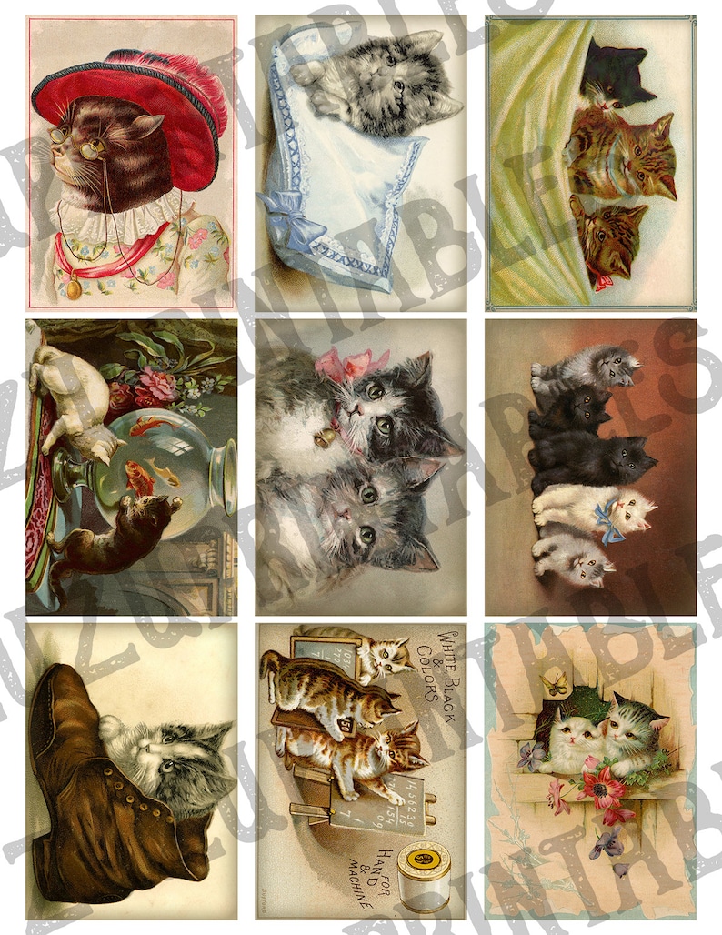 May include: Nine vintage postcards featuring various images of cats. The cats are depicted in different poses and settings, including a cat wearing a hat, a cat looking at a goldfish bowl, and a cat sitting in a shoe.