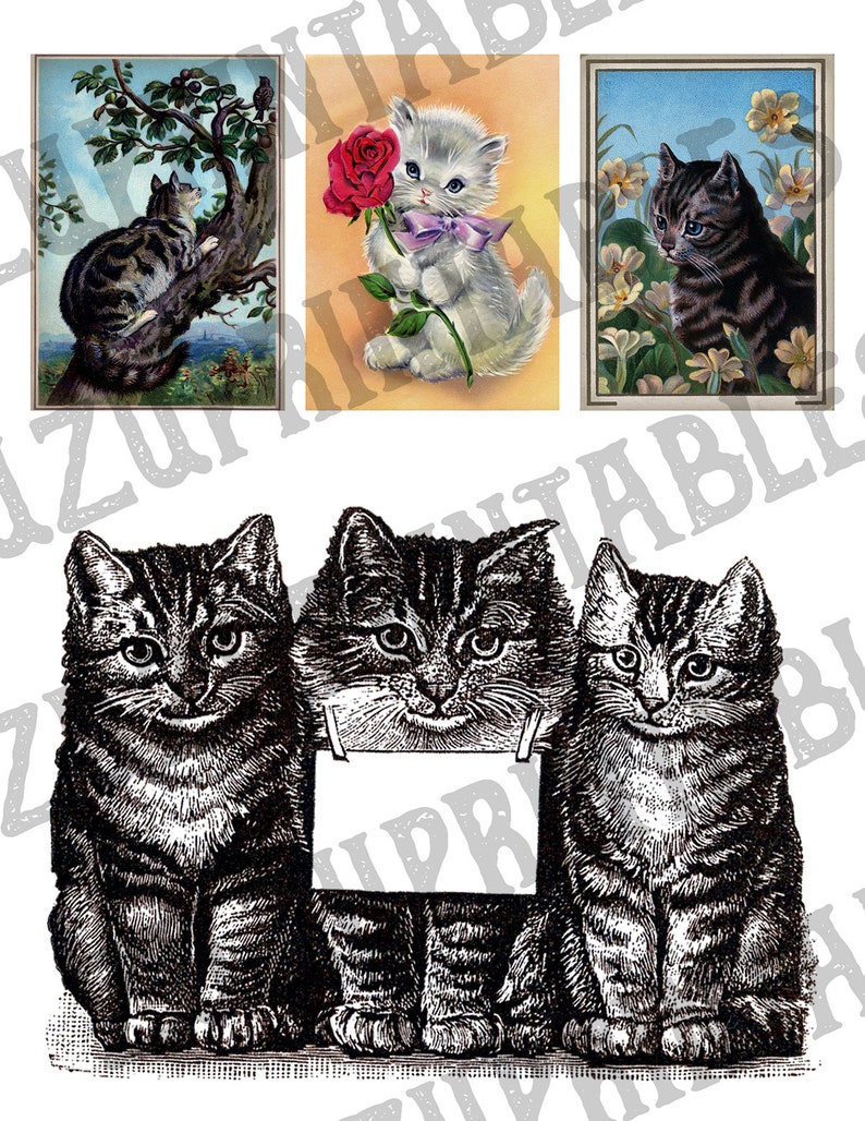 May include: Three black and white illustrations of cats. The cat in the middle is holding a blank sign.