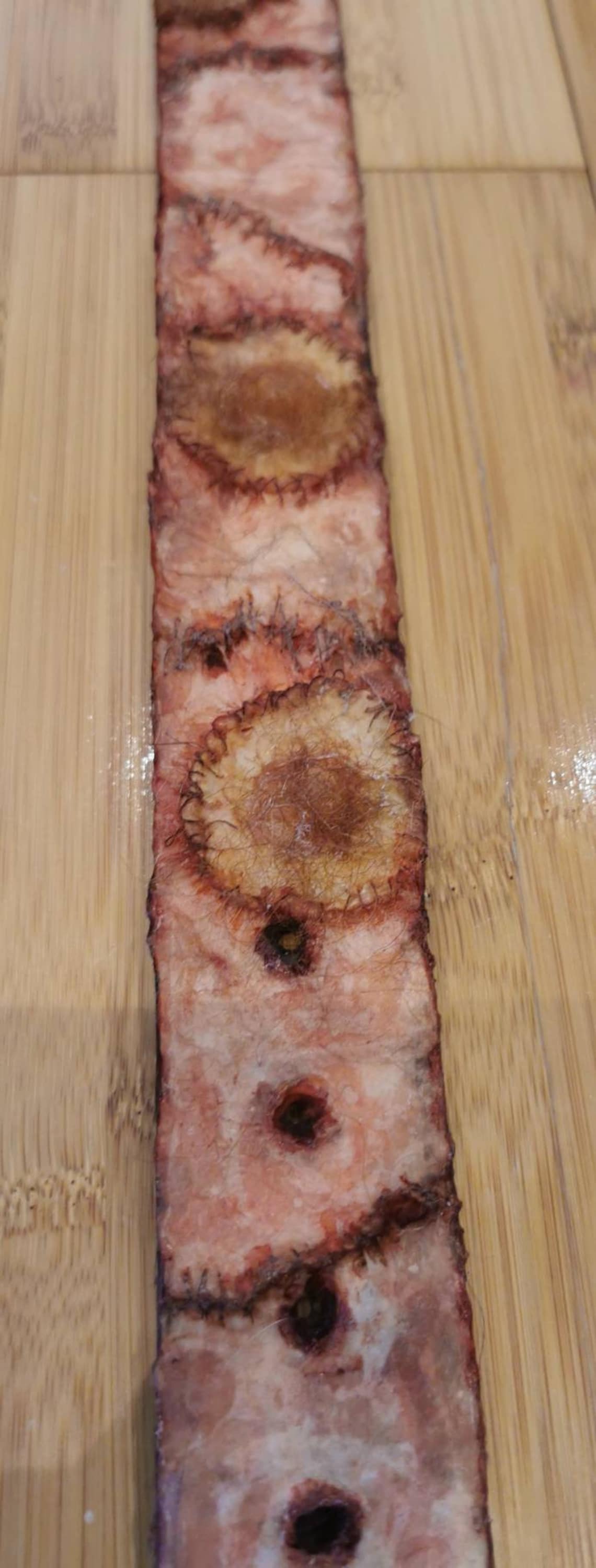 Ed Gein Texas Chainsaw Massacre Style Nipple Belt Horror Gore Etsy